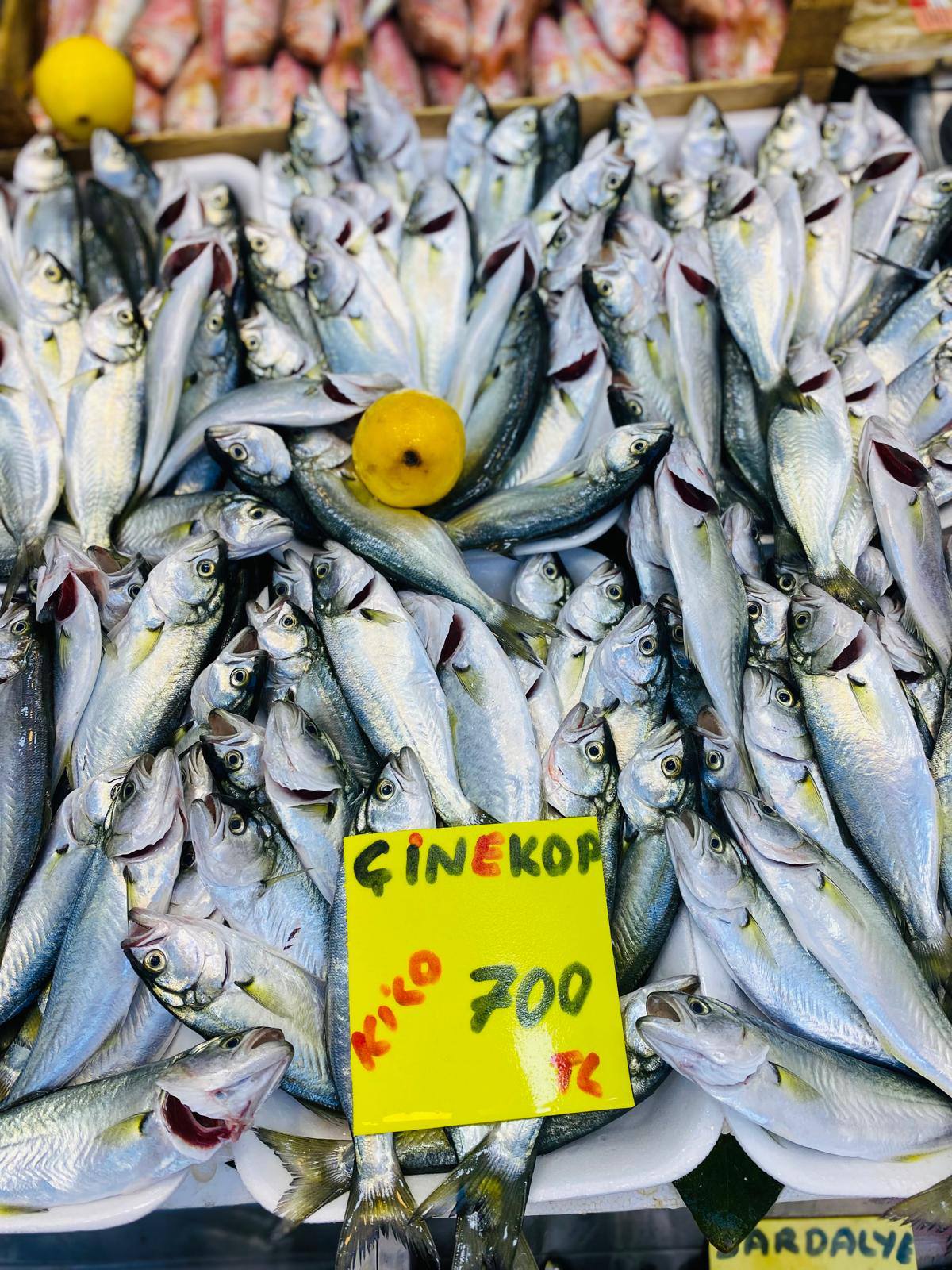 576293903 1180177344246433 2824418503640467060 N