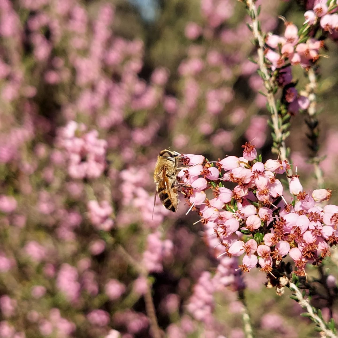 581842321 18551523013039216 4879349753142577536 N