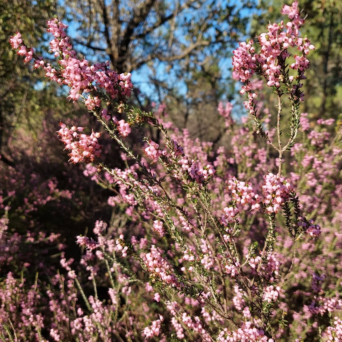 581876948 18551523022039216 5063797198685732002 N