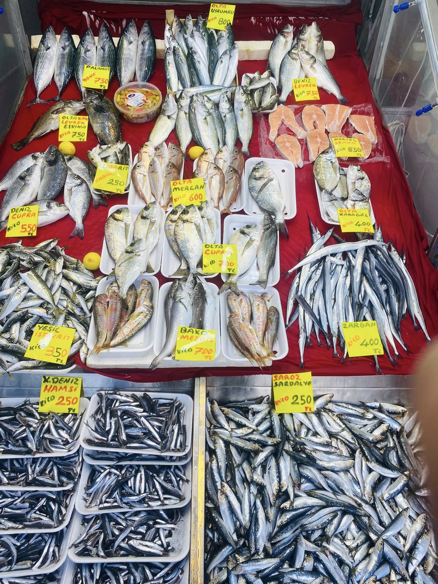 583129923 1191691853094982 3740747022420855940 N