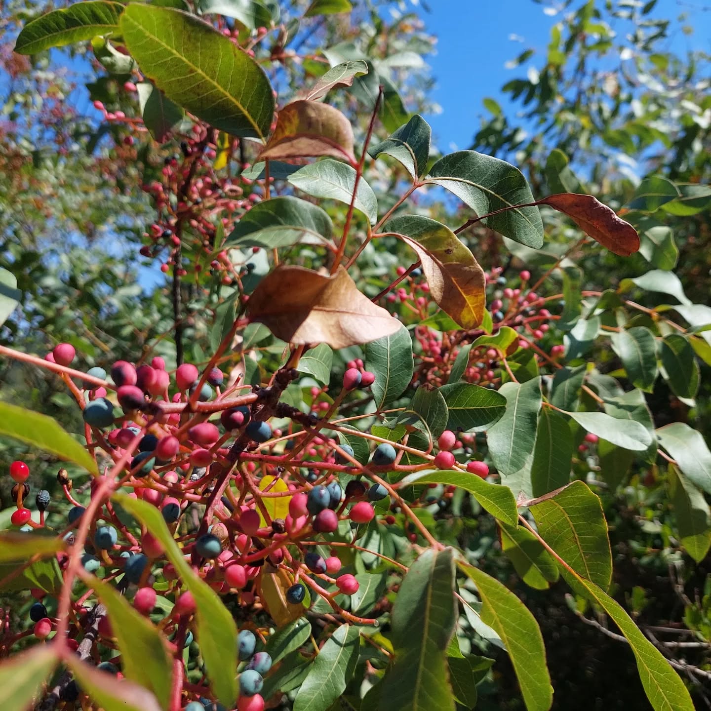 583773518 18552039964039216 2766433474980500234 N