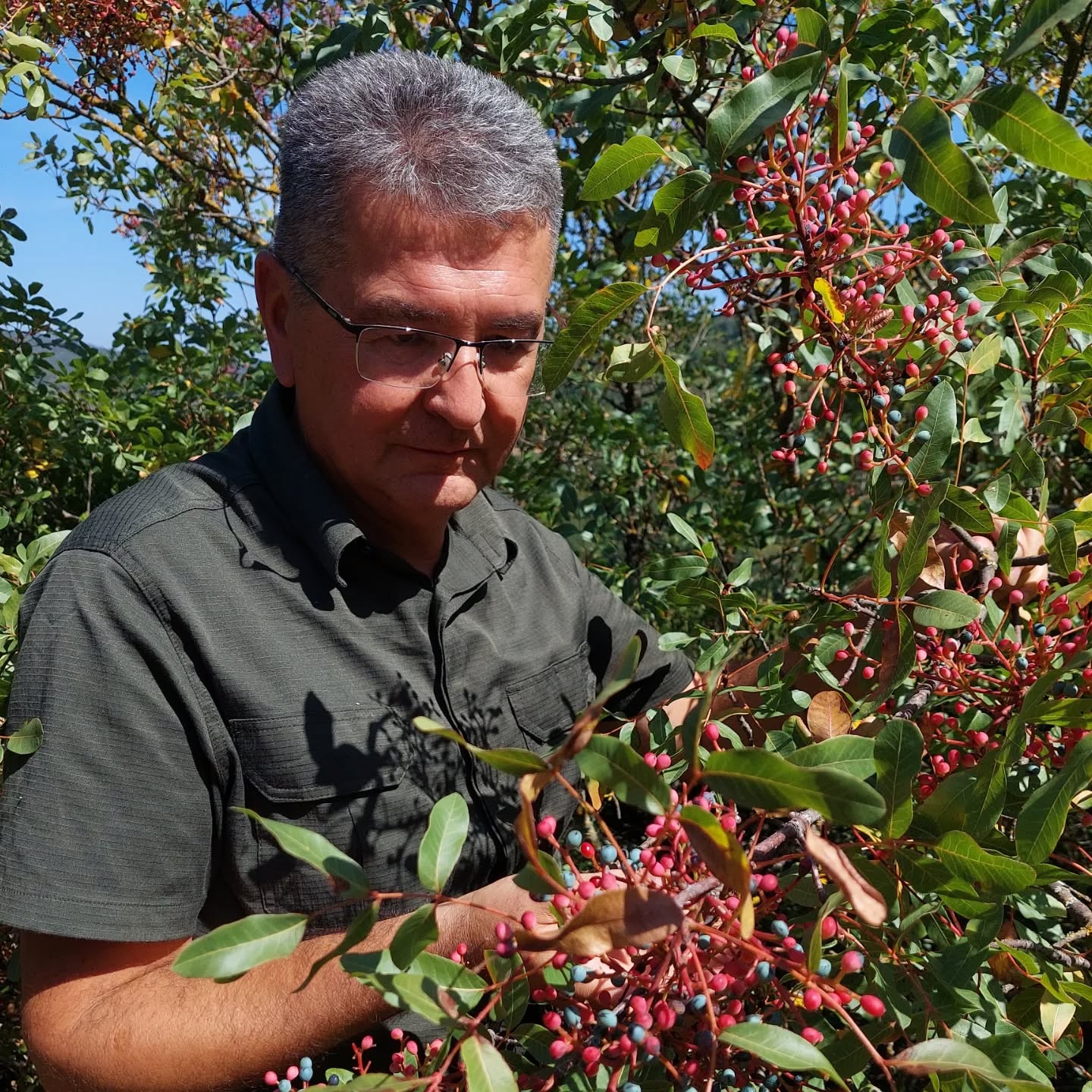 583870694 18552040234039216 4282273506690414524 N