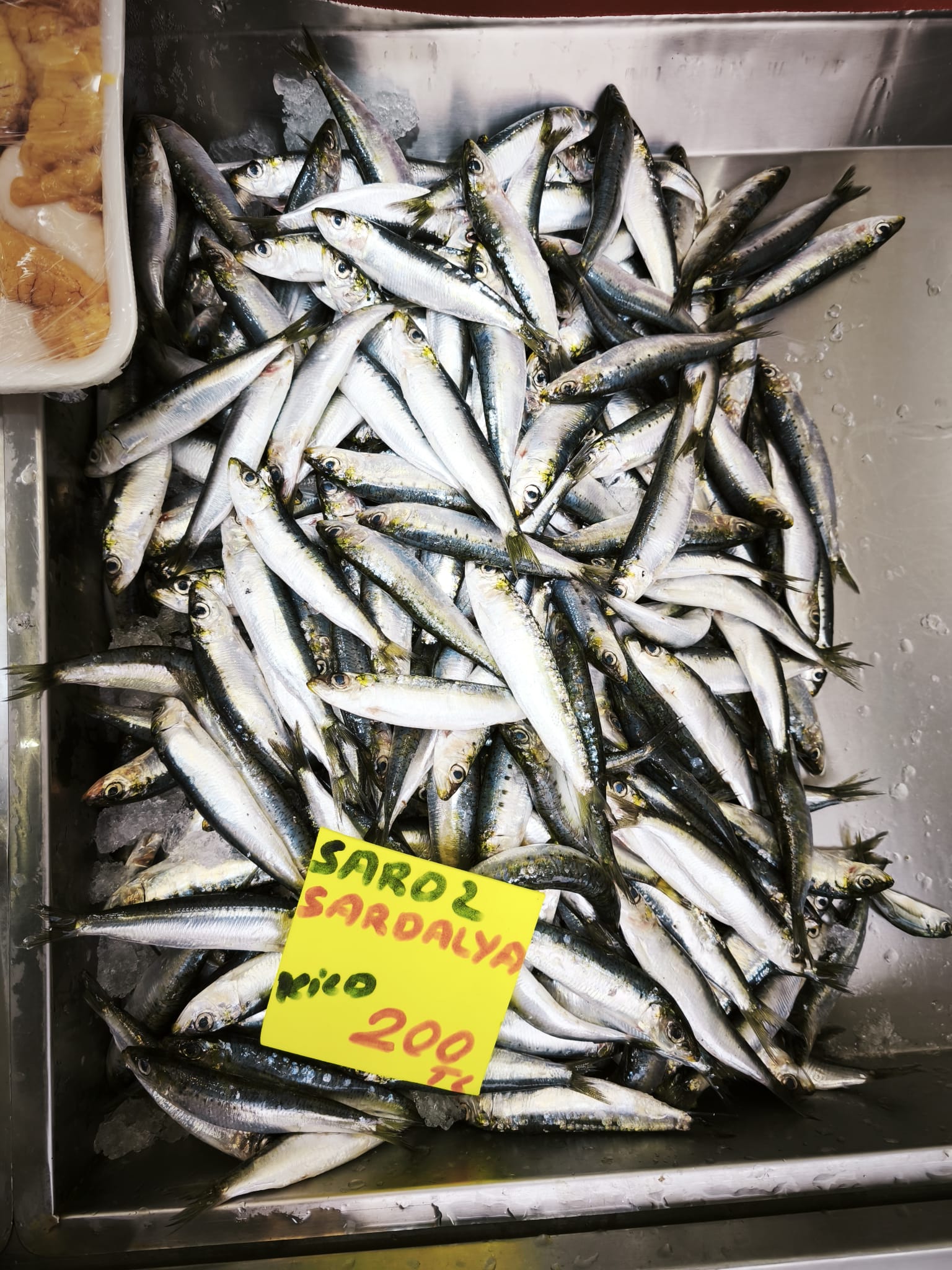 72F320B5 B9Fa 4F54 96D2 C3Ca6B25E0C2