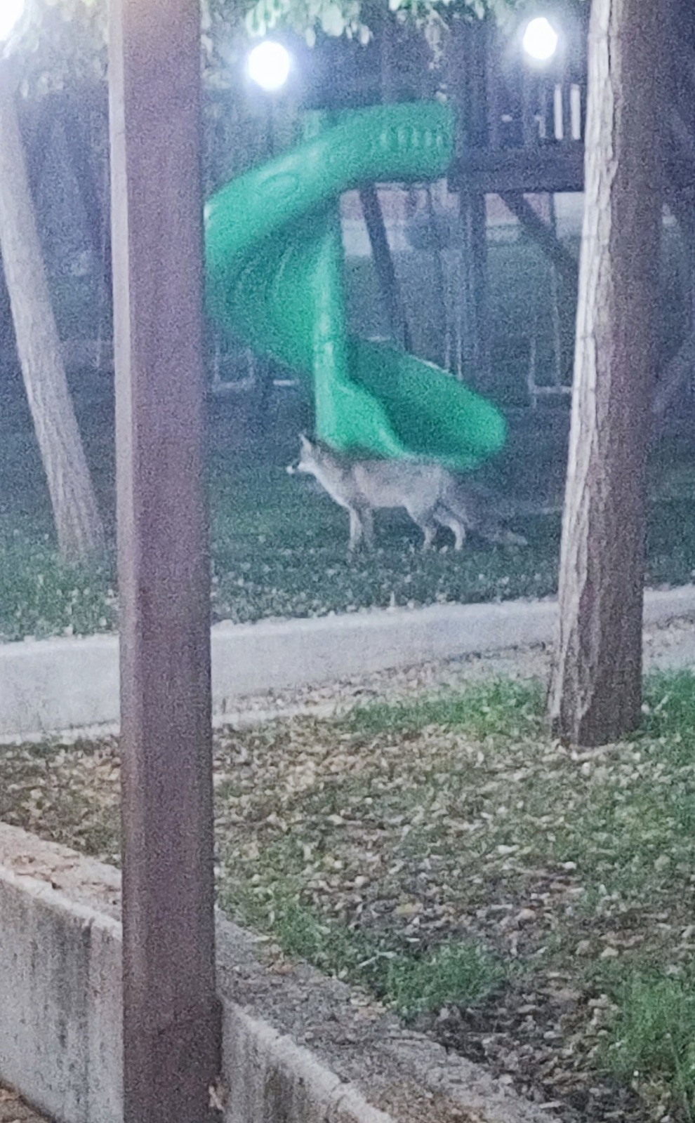 7A8Ee083 17Ac 40Db A62F 5583Cd834Acf