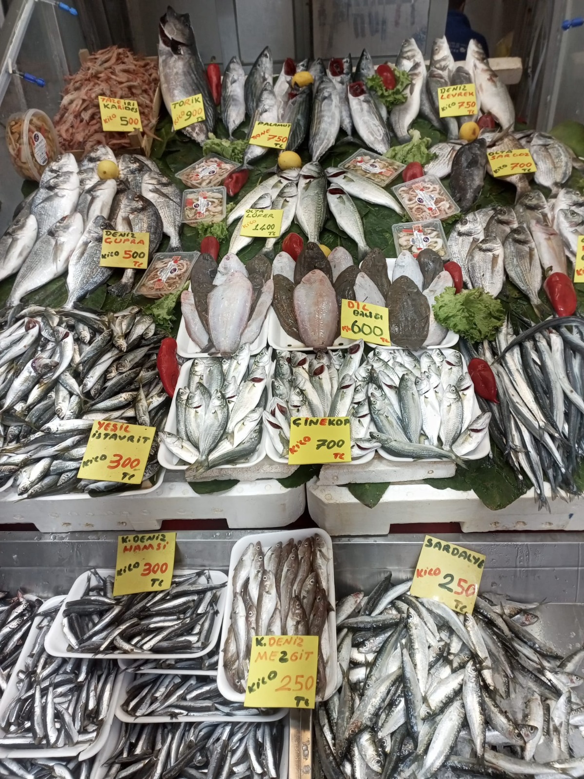 835D2F21 4305 40B1 8826 5B62157Fb54D