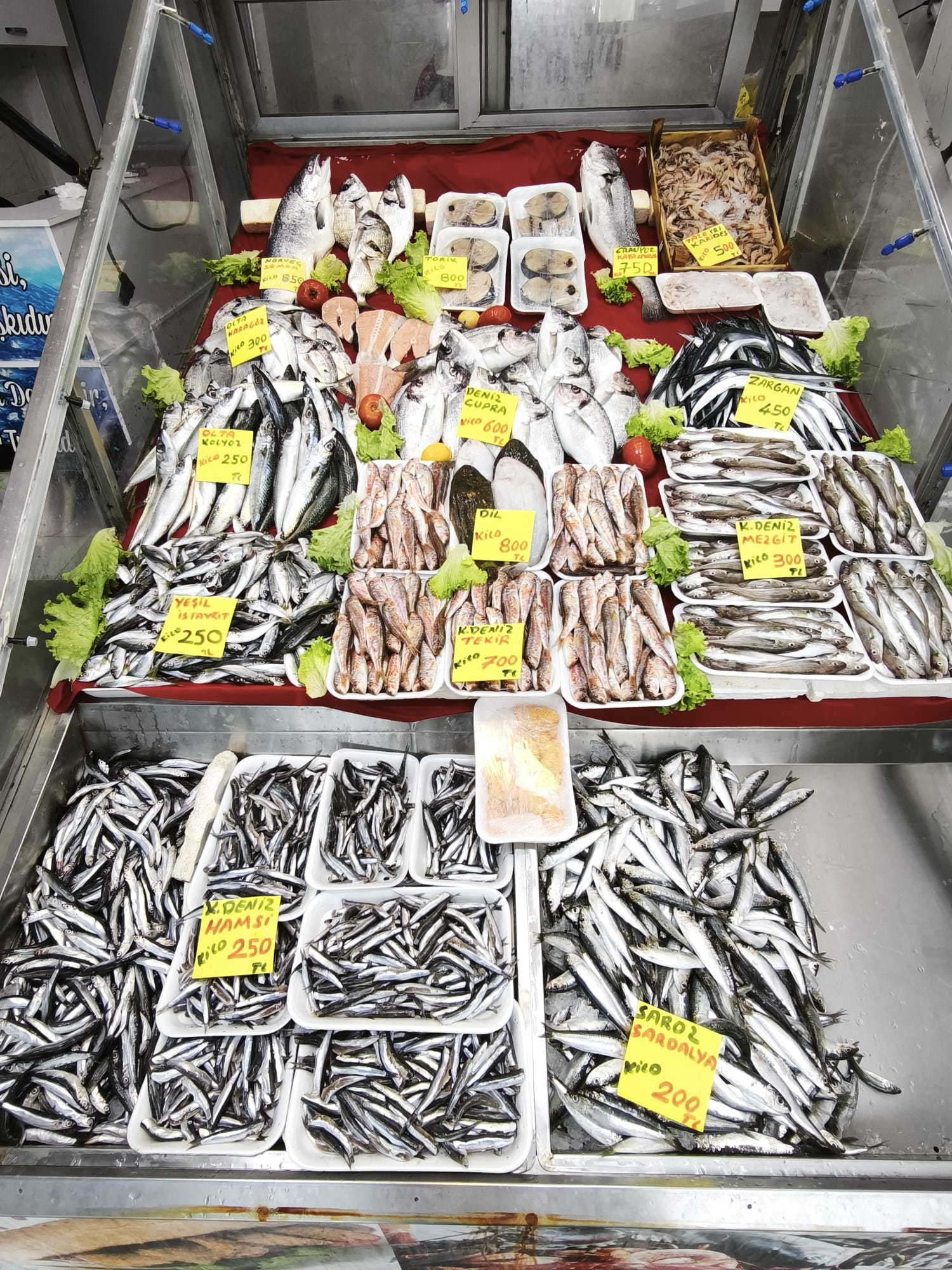 8496098F 3Edc 4F27 Bff1 5Ba9092C5D42