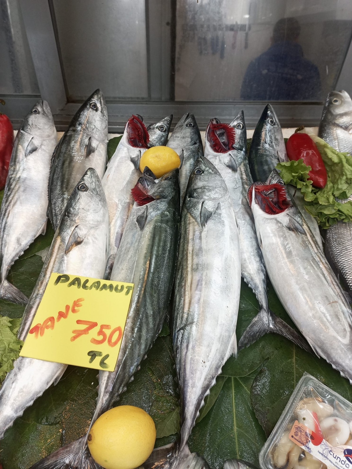 9891Ecdc 5B19 4622 80D3 Dec5E0Ed3D01