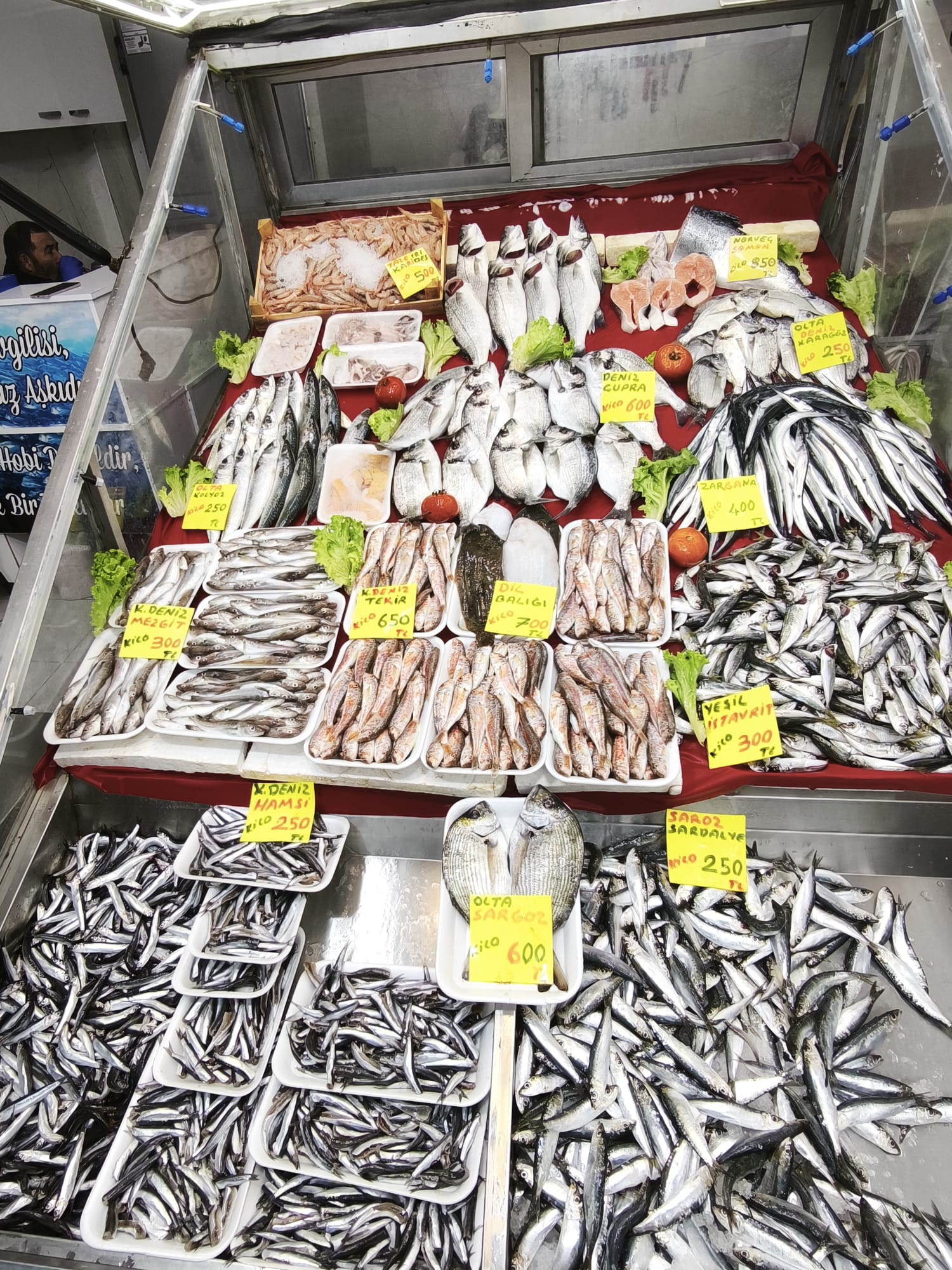 9Ac9Ea0A 59Ea 4489 9Dc2 36B6D55Da19F