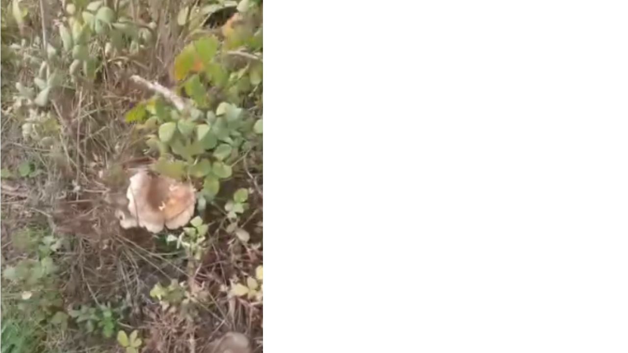 Bir Başlık Ekleyin (1)-440