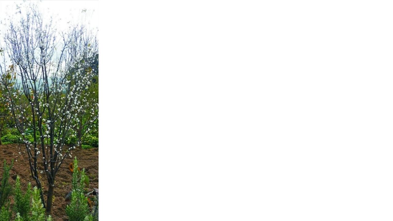 Bir Başlık Ekleyin (1)-446