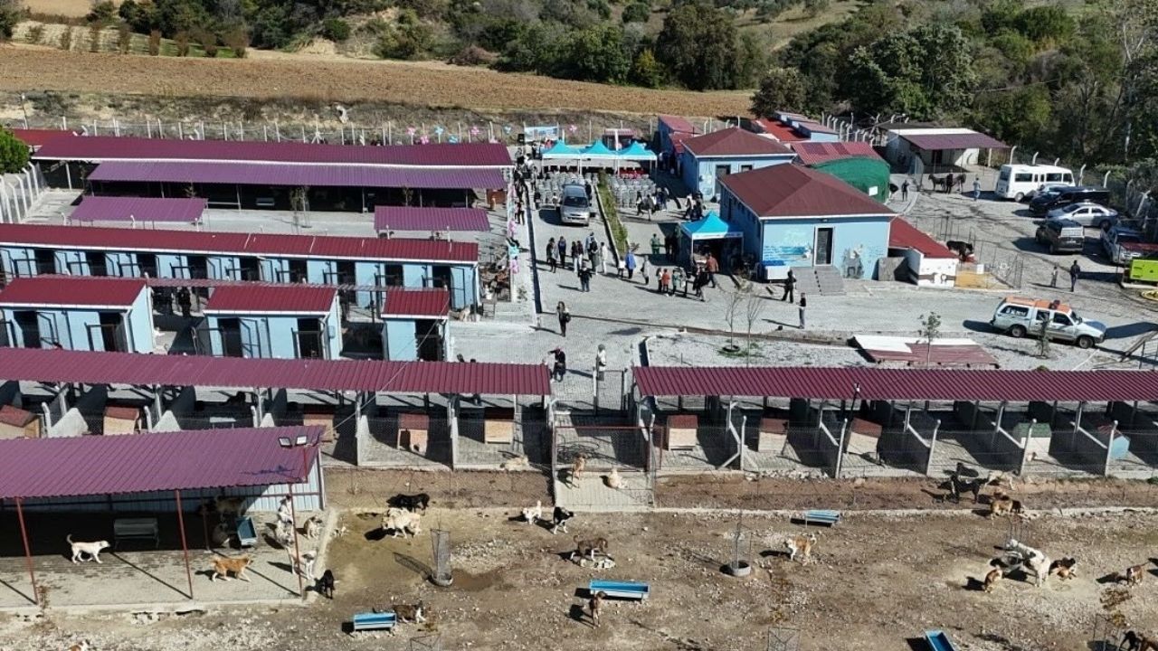 Bir Başlık Ekleyin (12)-79