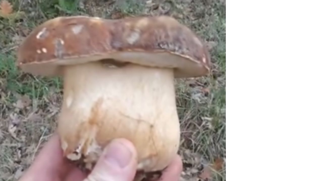 Bir Başlık Ekleyin (15)-67