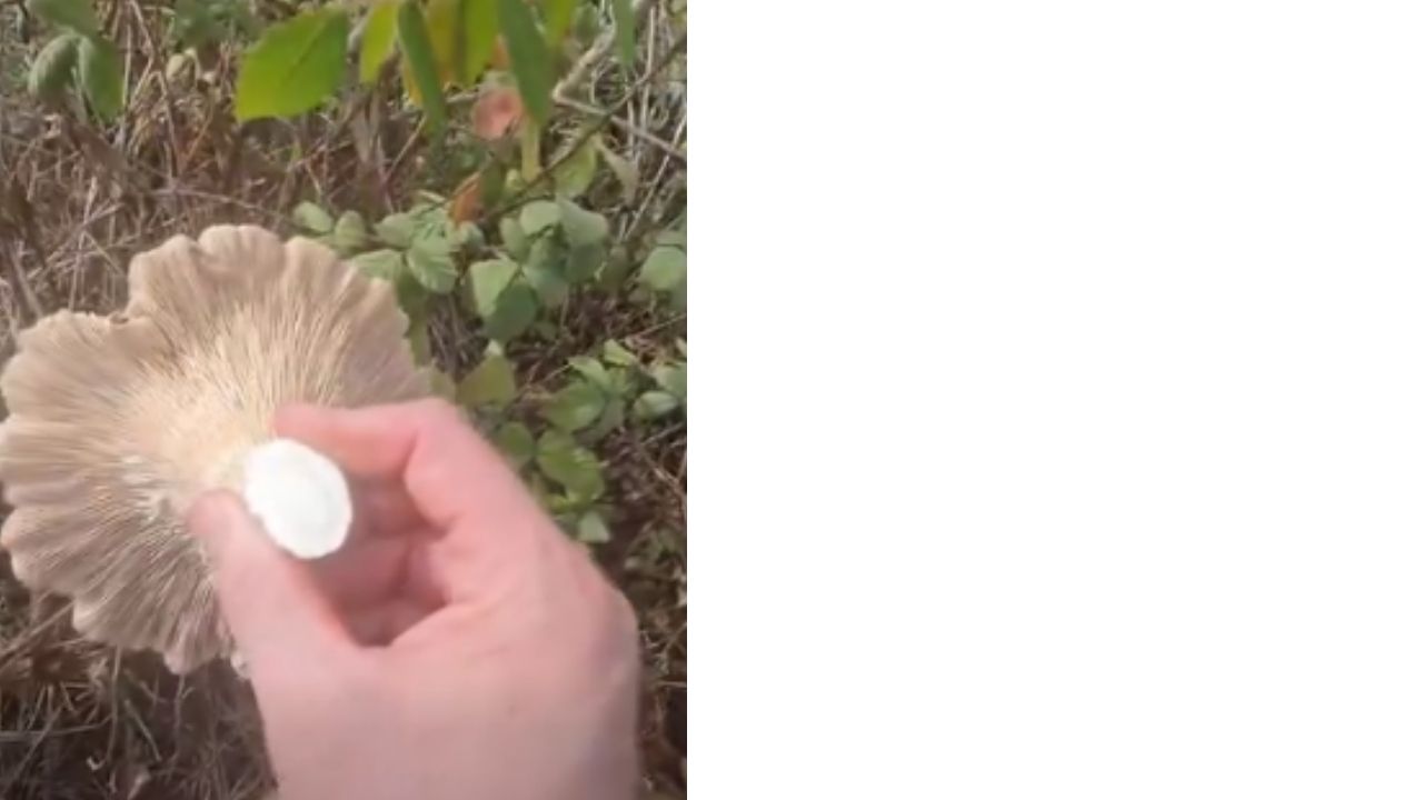 Bir Başlık Ekleyin (2)-306