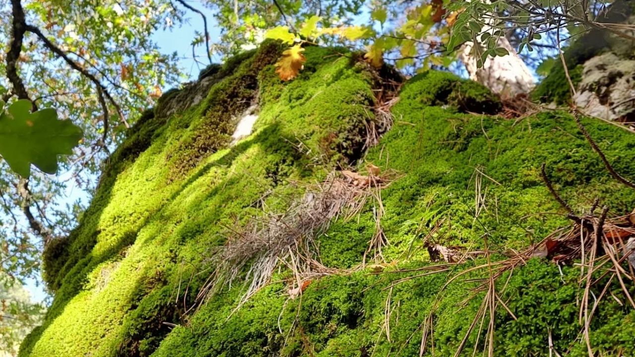 Bir Başlık Ekleyin (3)-237