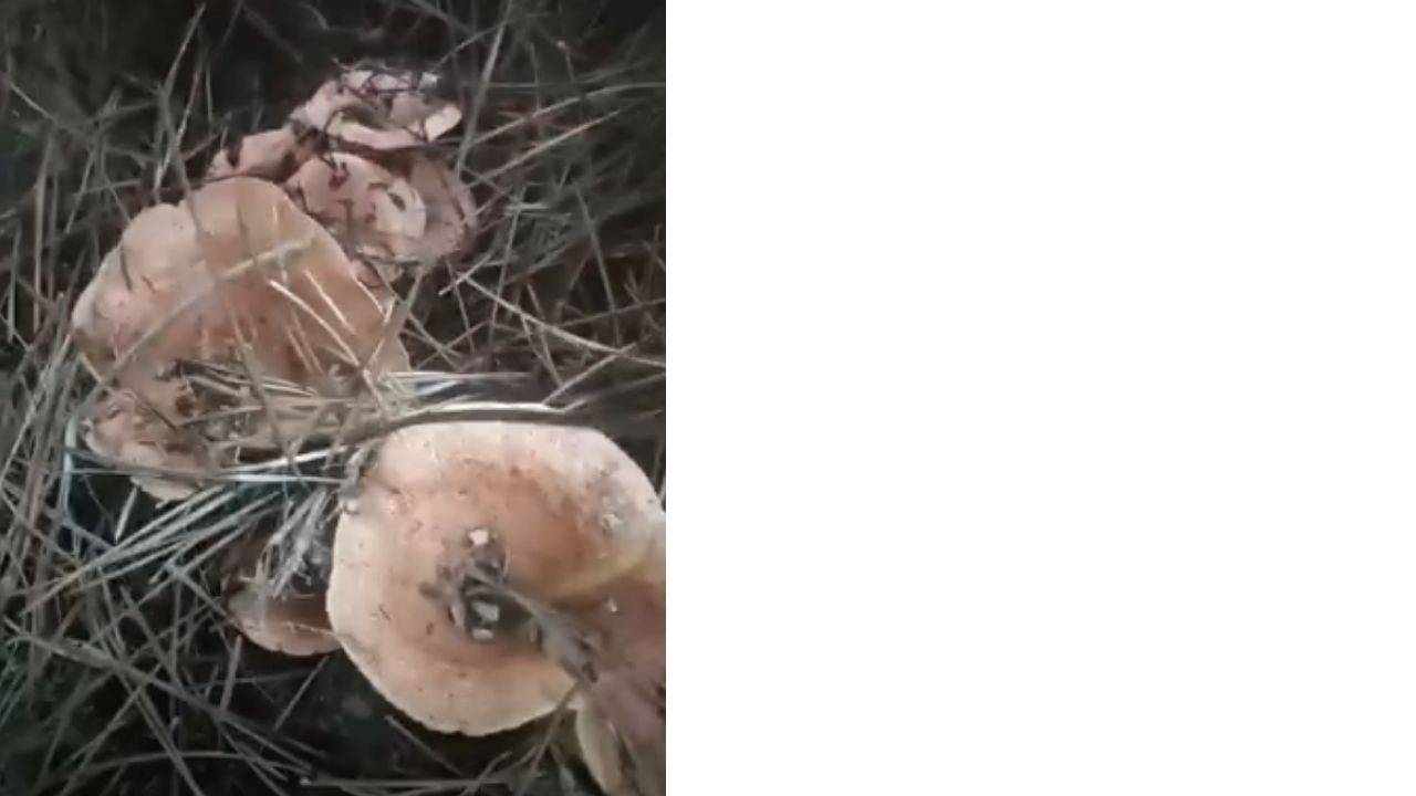 Bir Başlık Ekleyin (3)-277