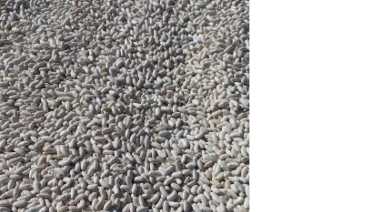 Bir Başlık Ekleyin (4)-219