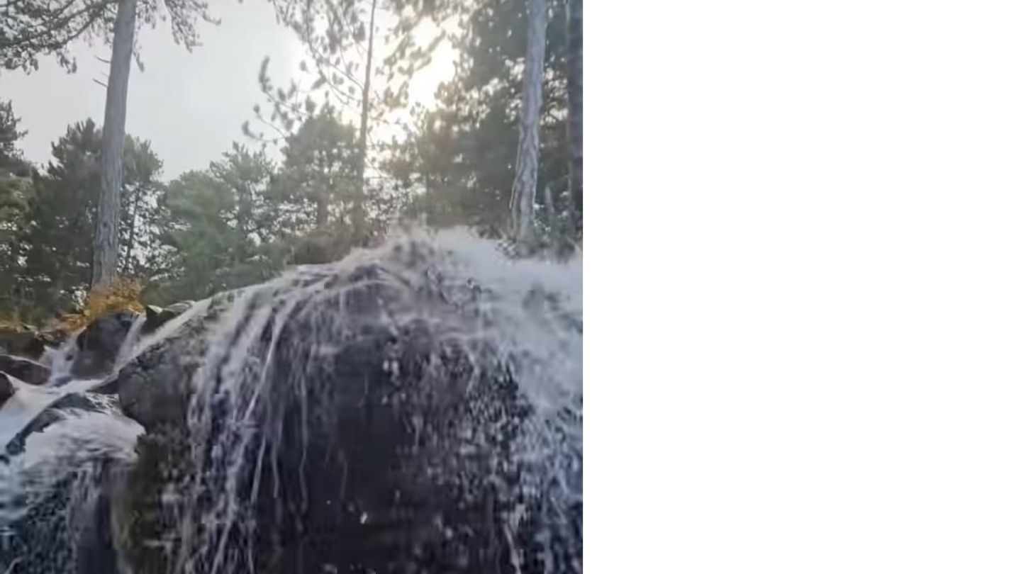 Bir Başlık Ekleyin (4)-221