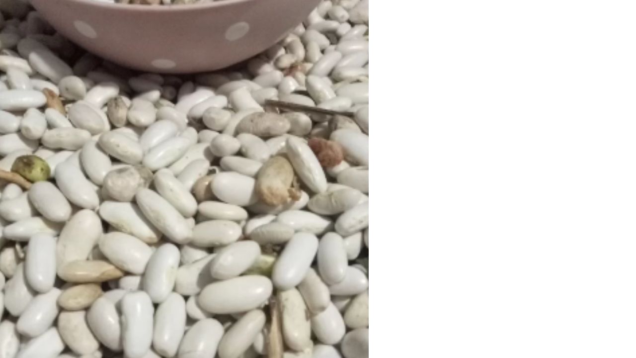 Bir Başlık Ekleyin (5)-188