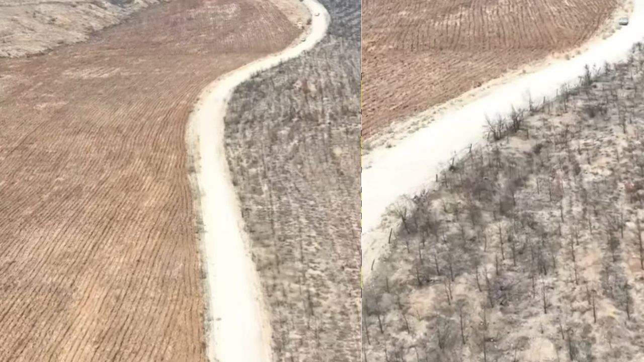 Bir Başlık Ekleyin (7)-137