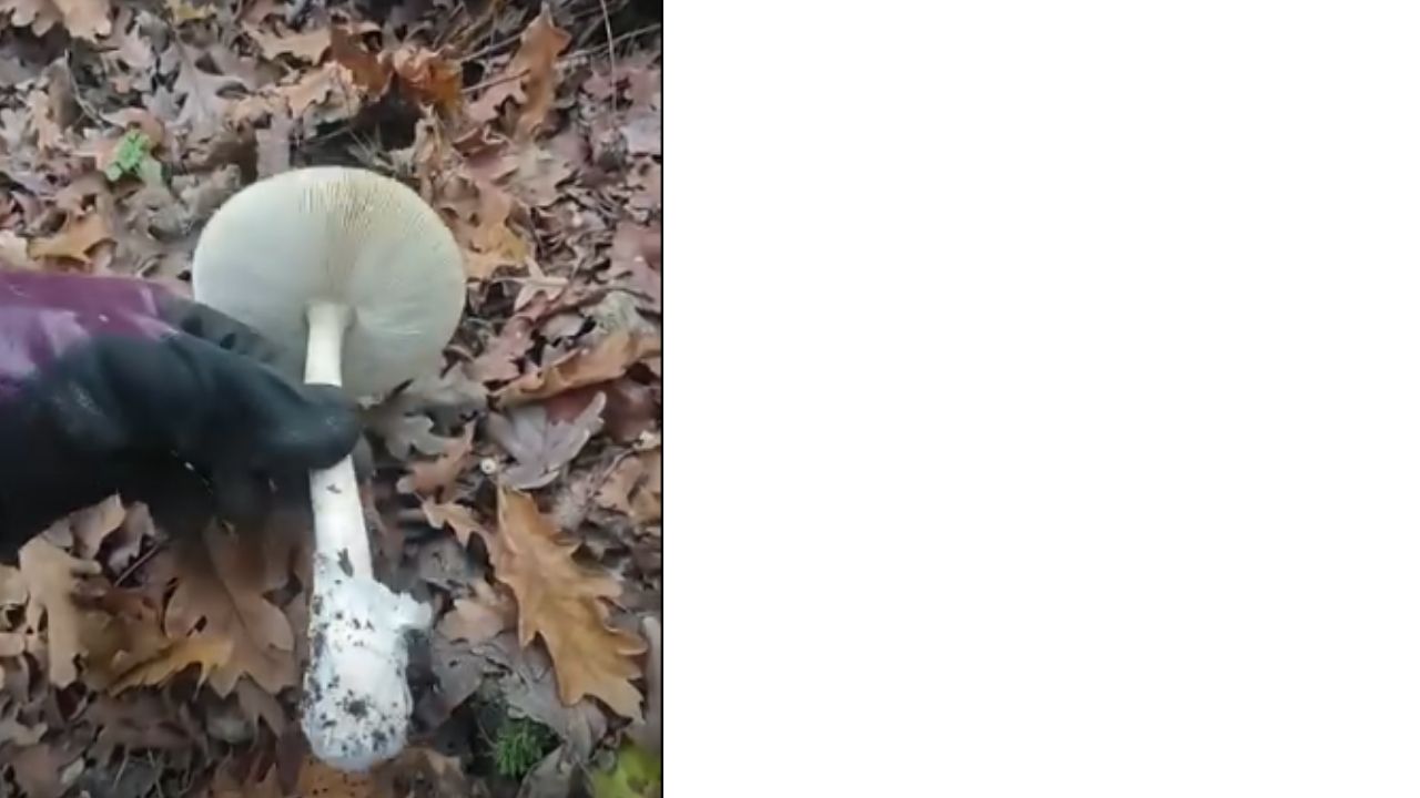 Bir Başlık Ekleyin (7)-151