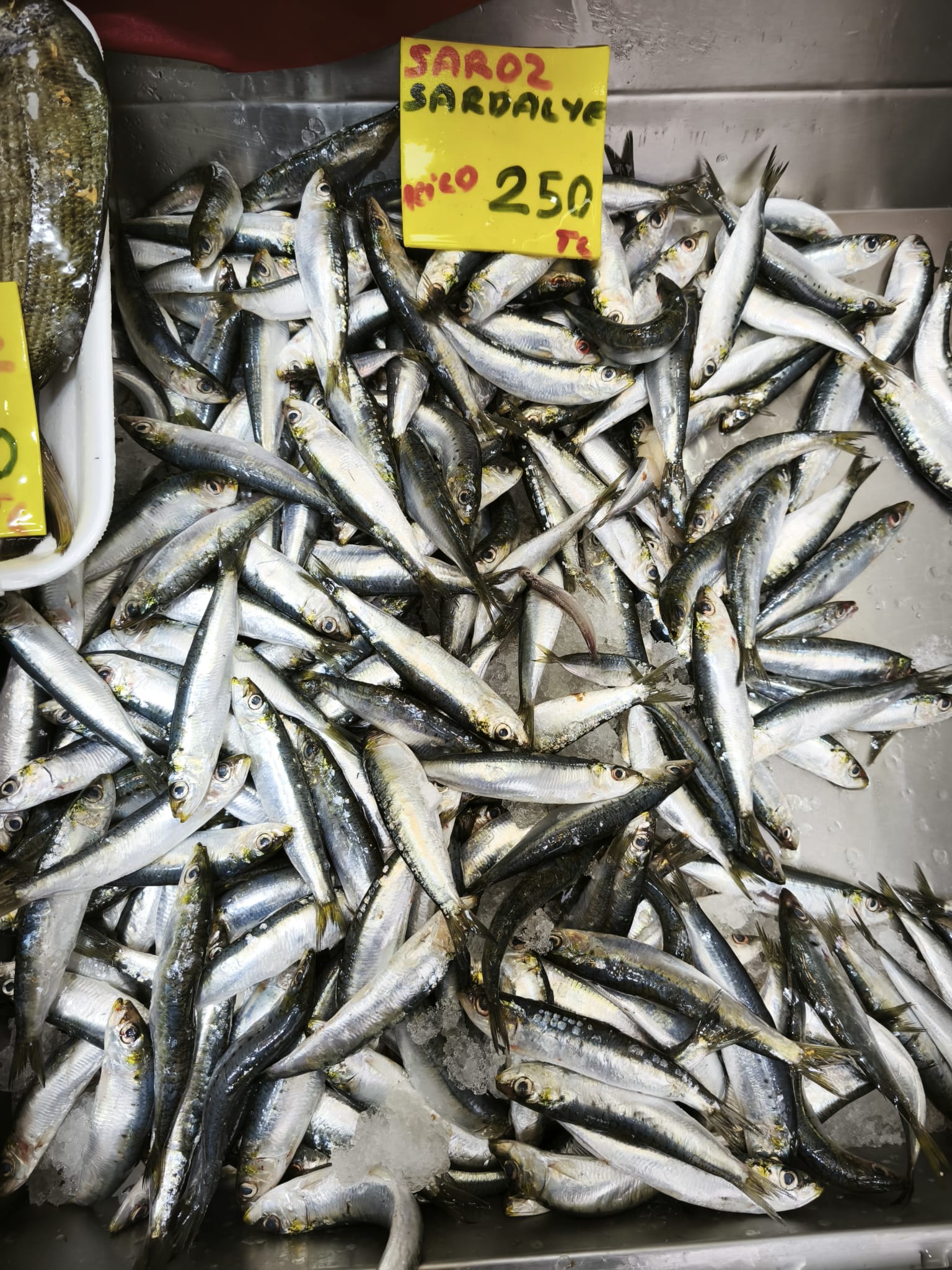 C583Afa8 A0Ea 4D56 887B F1Fc15Af87Da