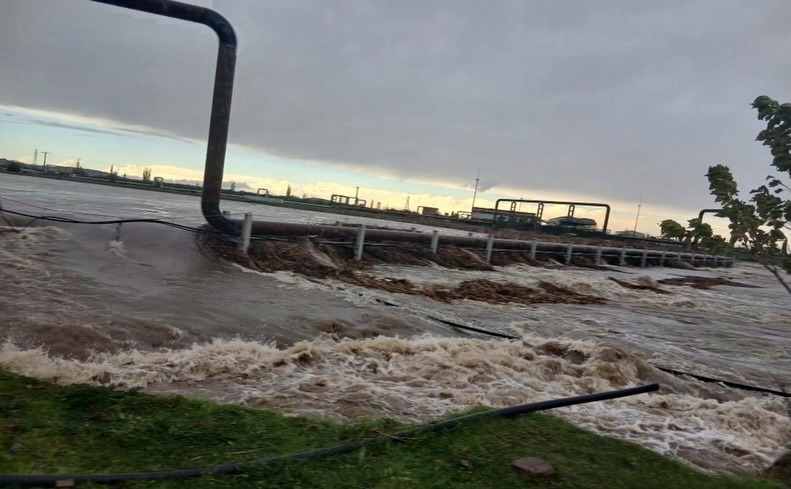 D54Cbaa5 62E8 422E 99C2 5Be378562887