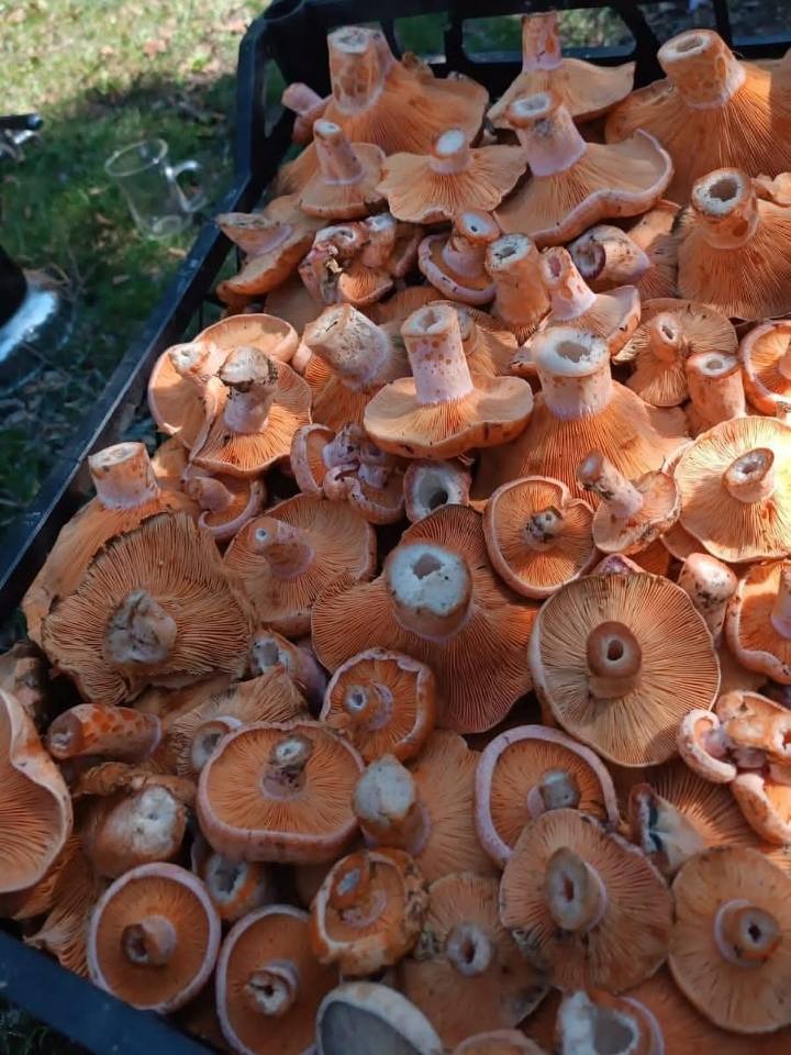 E34C306F 90C6 40Db B32A 206A09F42E14