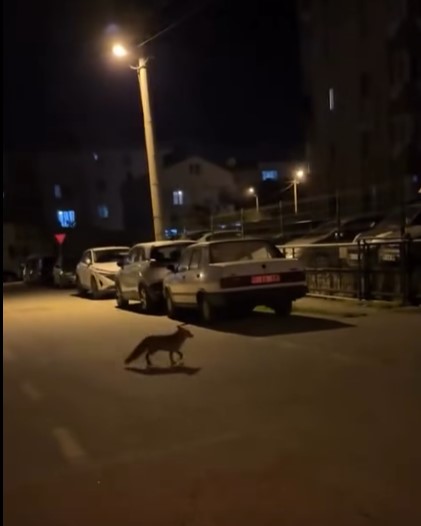 Ekran Görüntüsü 2025 11 13 102005