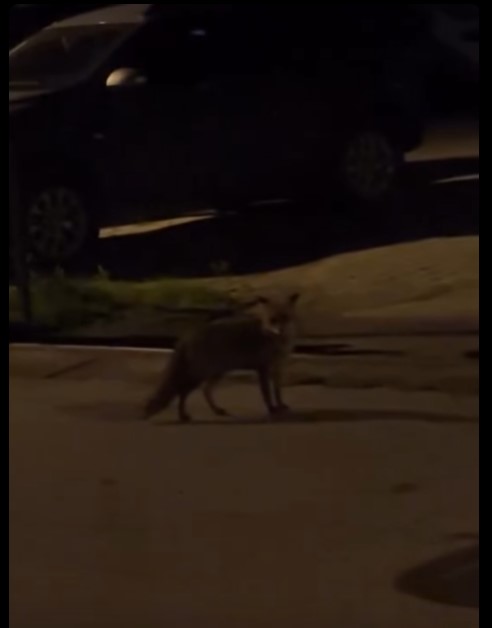 Ekran Görüntüsü 2025 11 13 102109