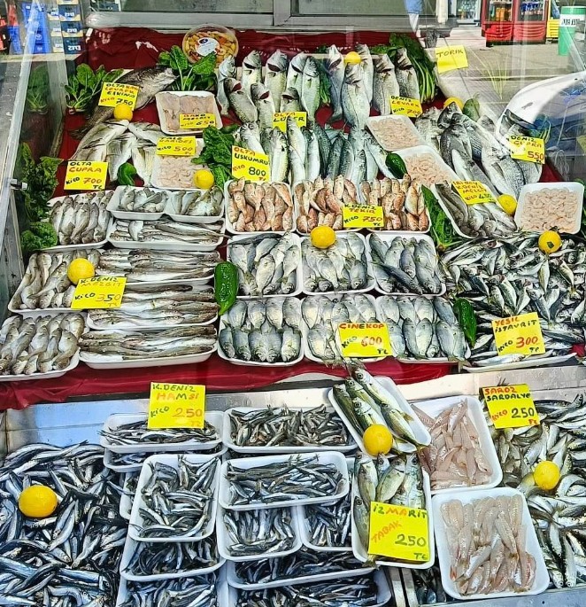 Ekran Görüntüsü 2025 11 13 152247