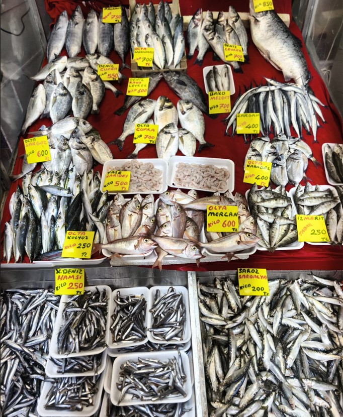 Ekran Görüntüsü 2025 11 20 122612