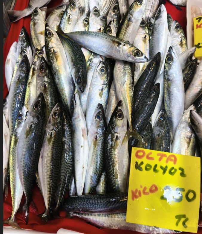 Ekran Görüntüsü 2025 11 20 122630