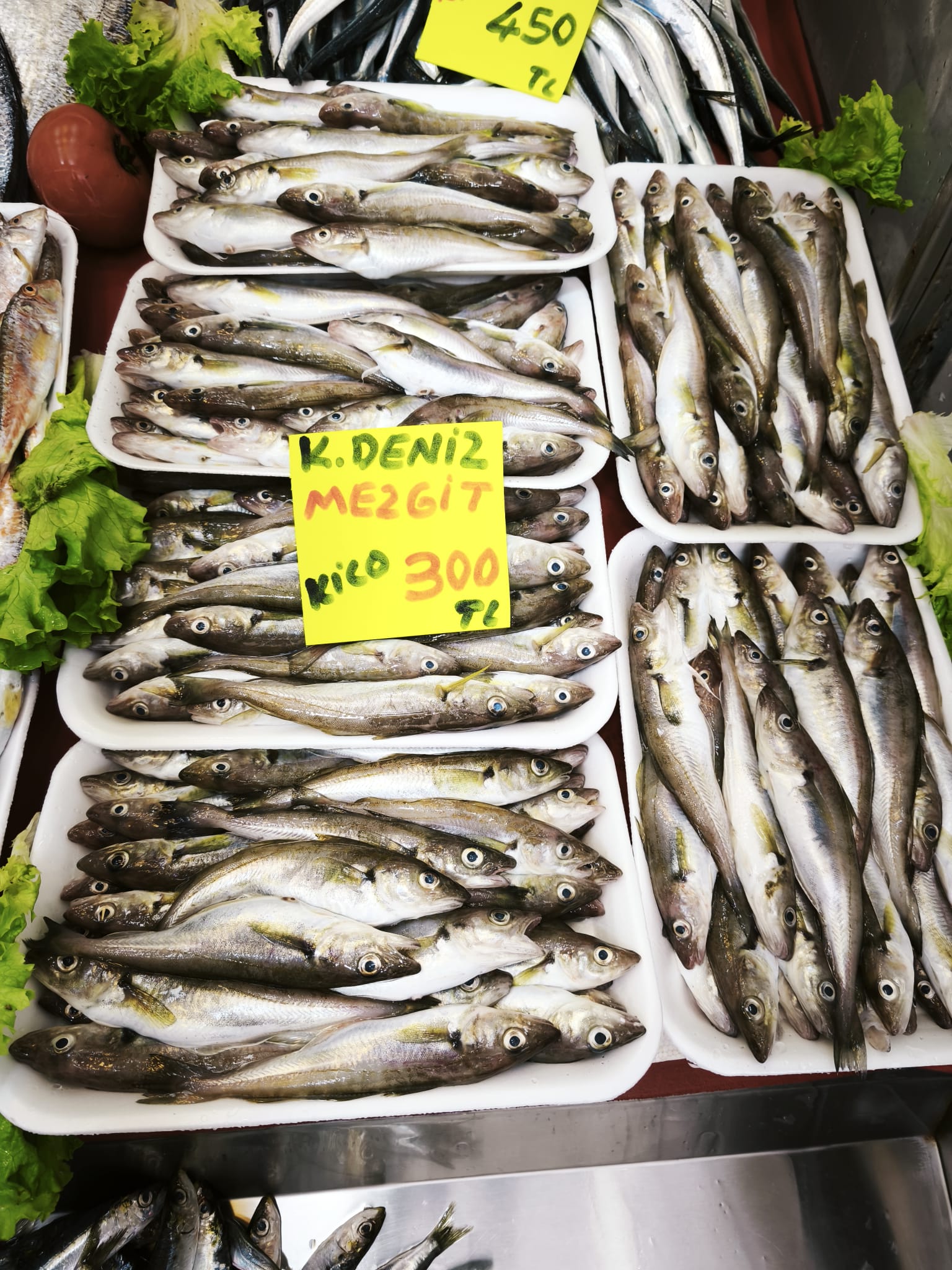 F3174Fe3 2751 42Cd 800D Ec98D834D186