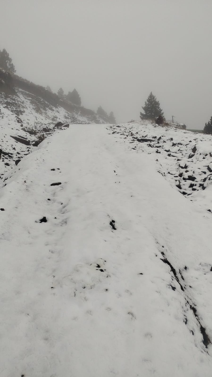 Whatsapp Image 2025 11 30 At 14.52.26