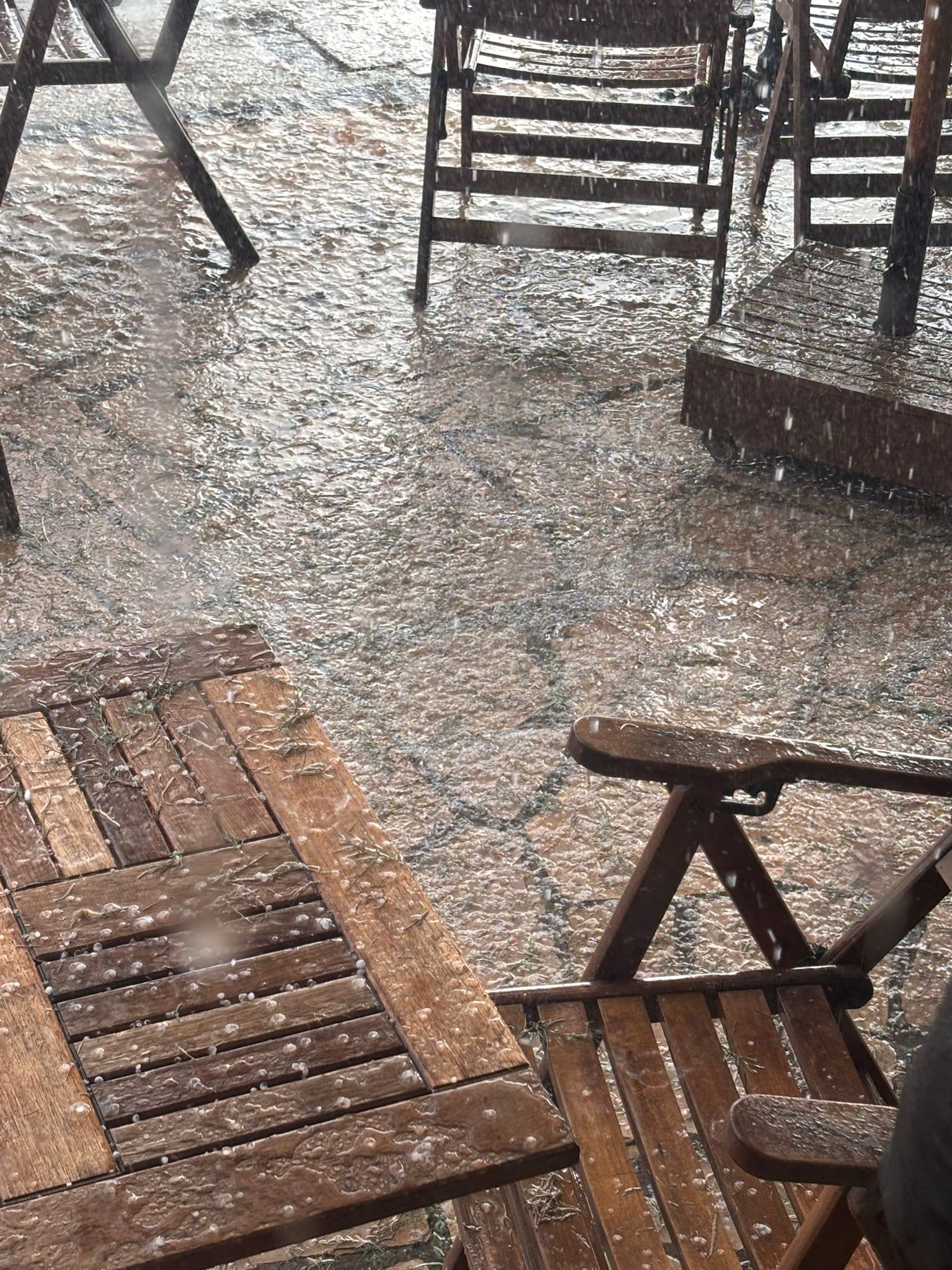 Whatsapp Image 2025 11 30 At 16.19.55