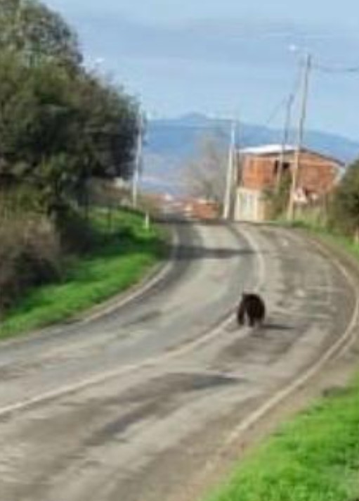 223Ekran Görüntüsü 2025 12 01 145830