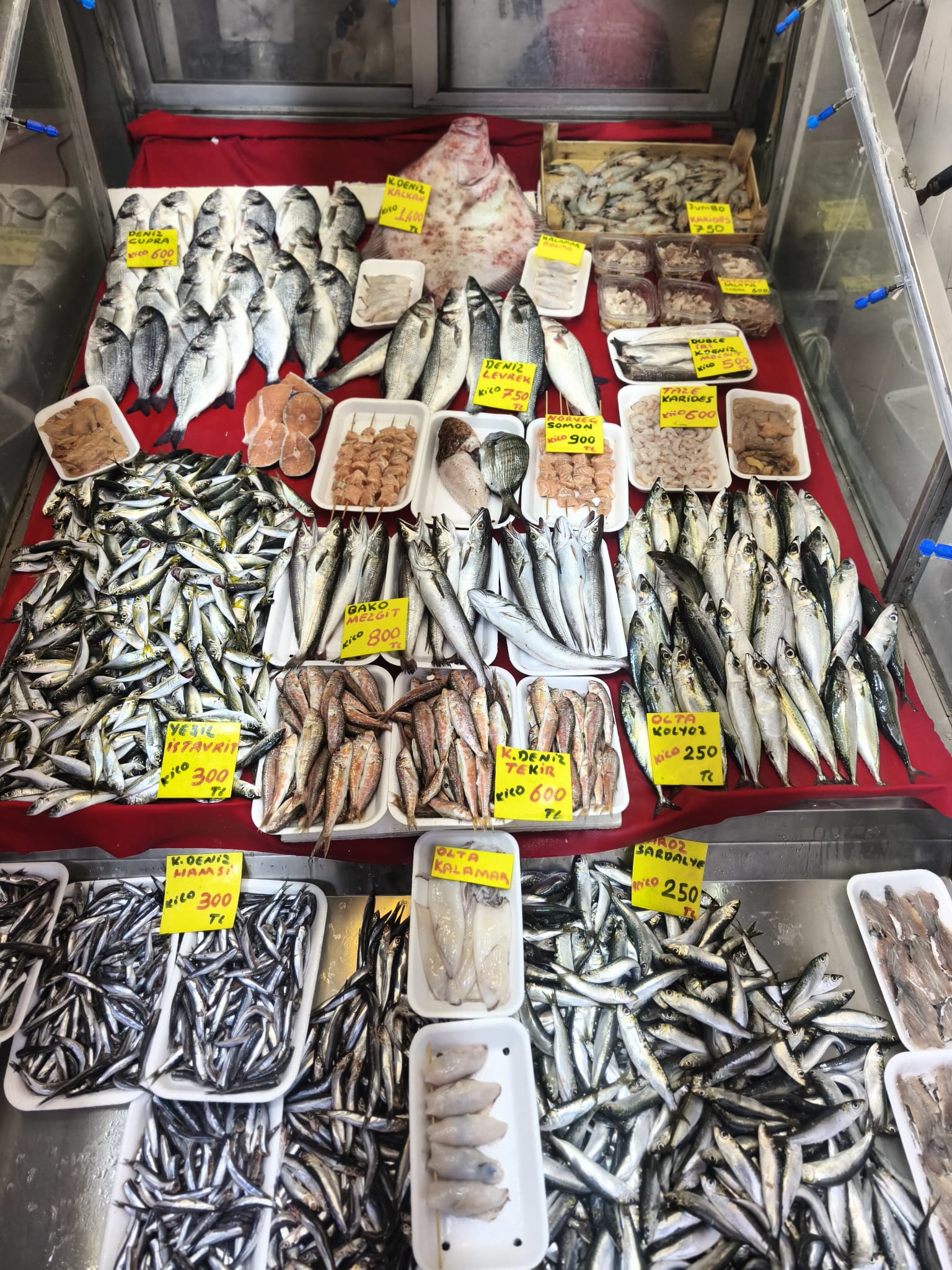 2307F933 53E6 4315 B1D4 Bc0Dc4Acb044