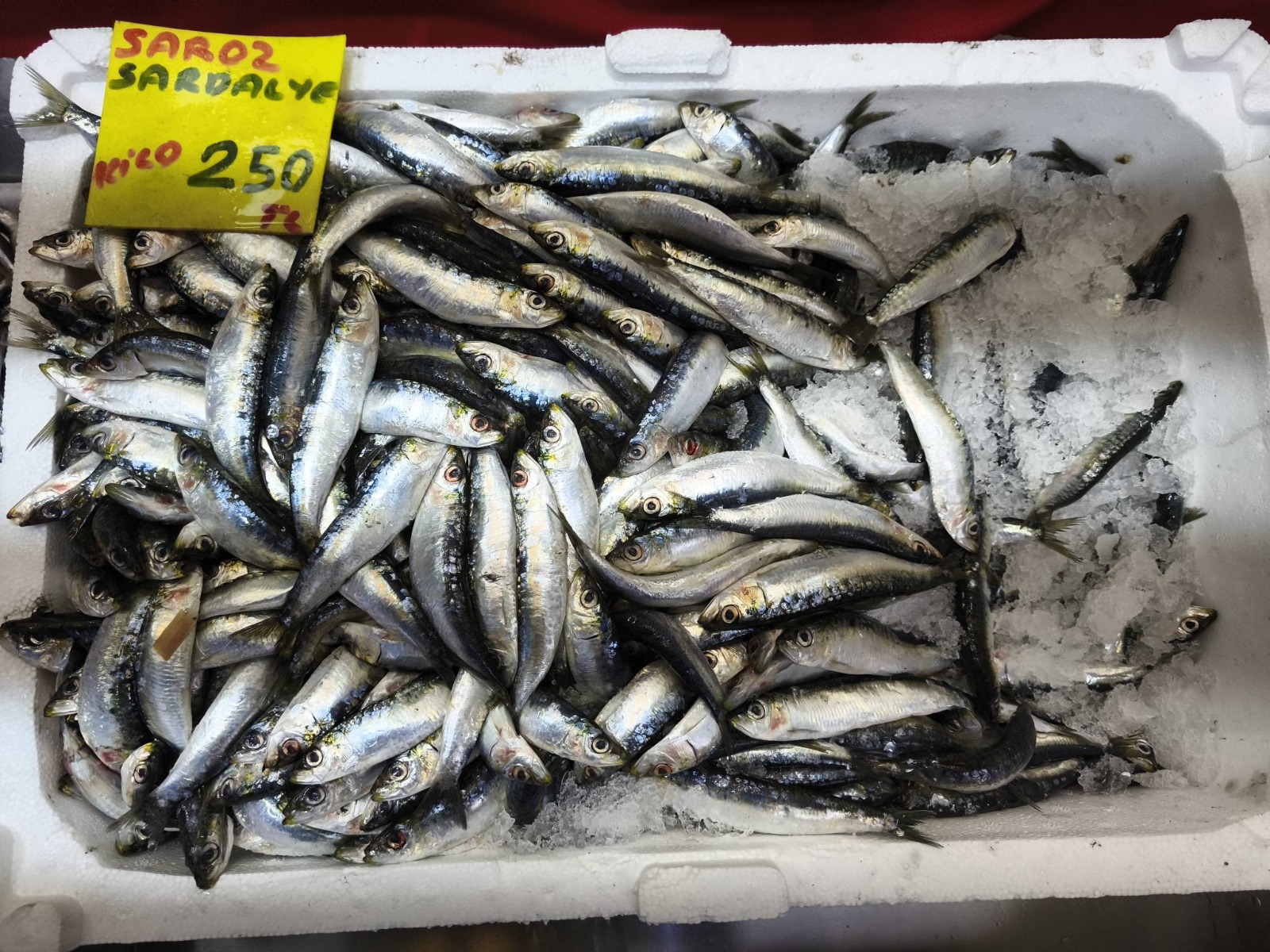 23750C75 B27C 4C6C 813A 1801D1Da072D