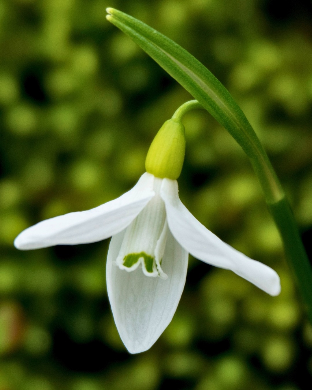 277D0114 7Ad0 4C2D 9872 242D07067411