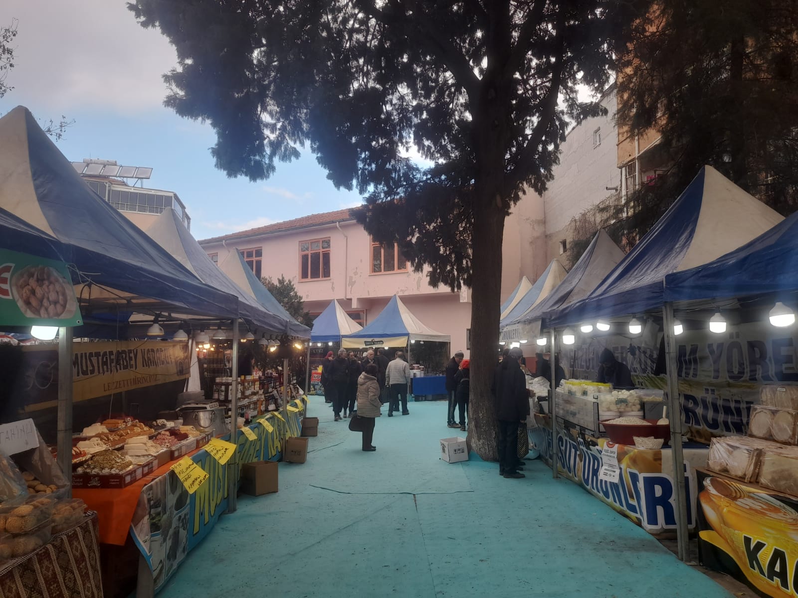 4F6C8065 0324 4152 B686 B6Ae3Bb3923D