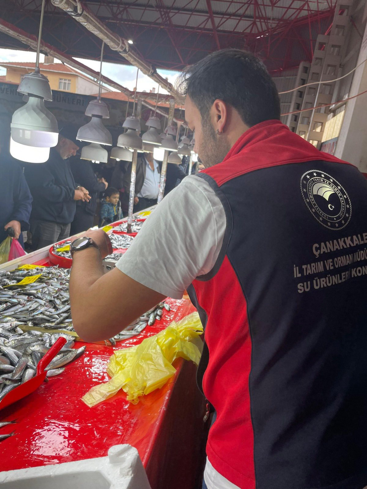 592059820 1459482362405913 6719397963343936185 N