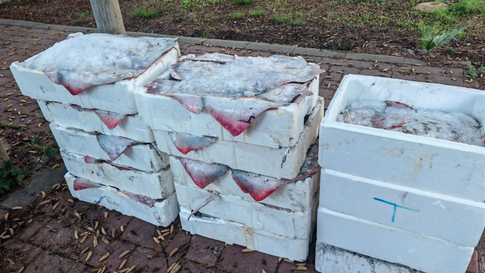 594149589 1459482429072573 6463650344903318372 N