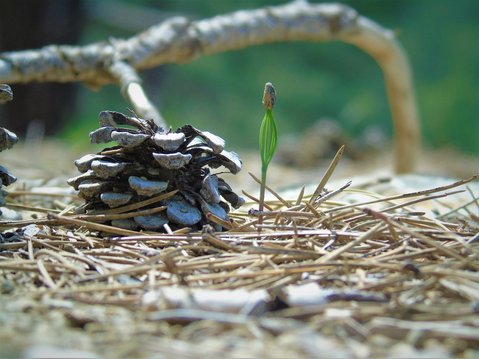 597020510 1183662893939574 6981133432241259842 N