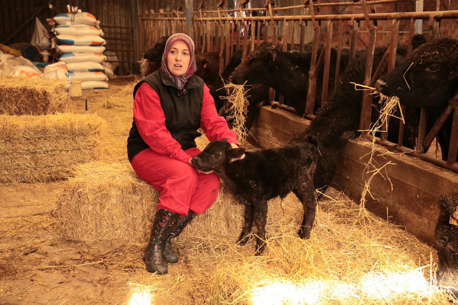 601381608 1472670424420440 1683973784491543613 N