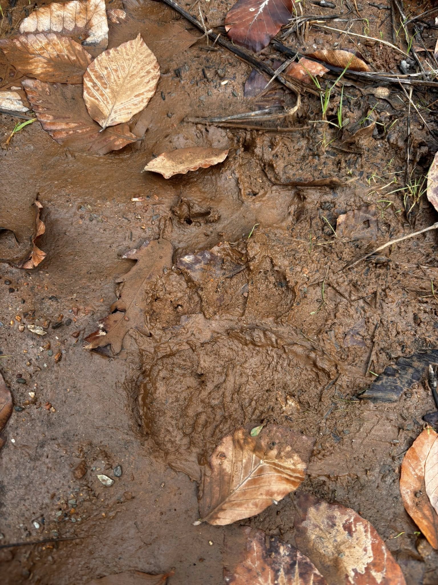 605728829 25712036681770501 9063365213466054114 N