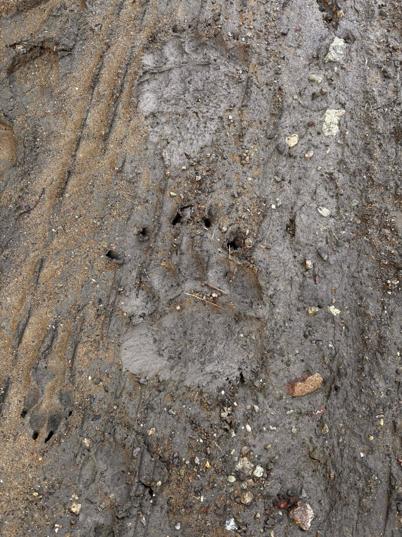 607185663 25712036085103894 1618302183527108401 N