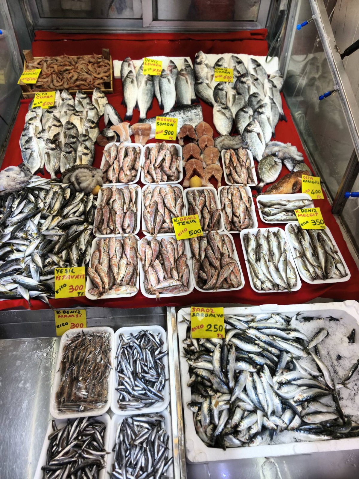 8Cc027Bc 4D6E 468E Bde4 E0845763Ef56