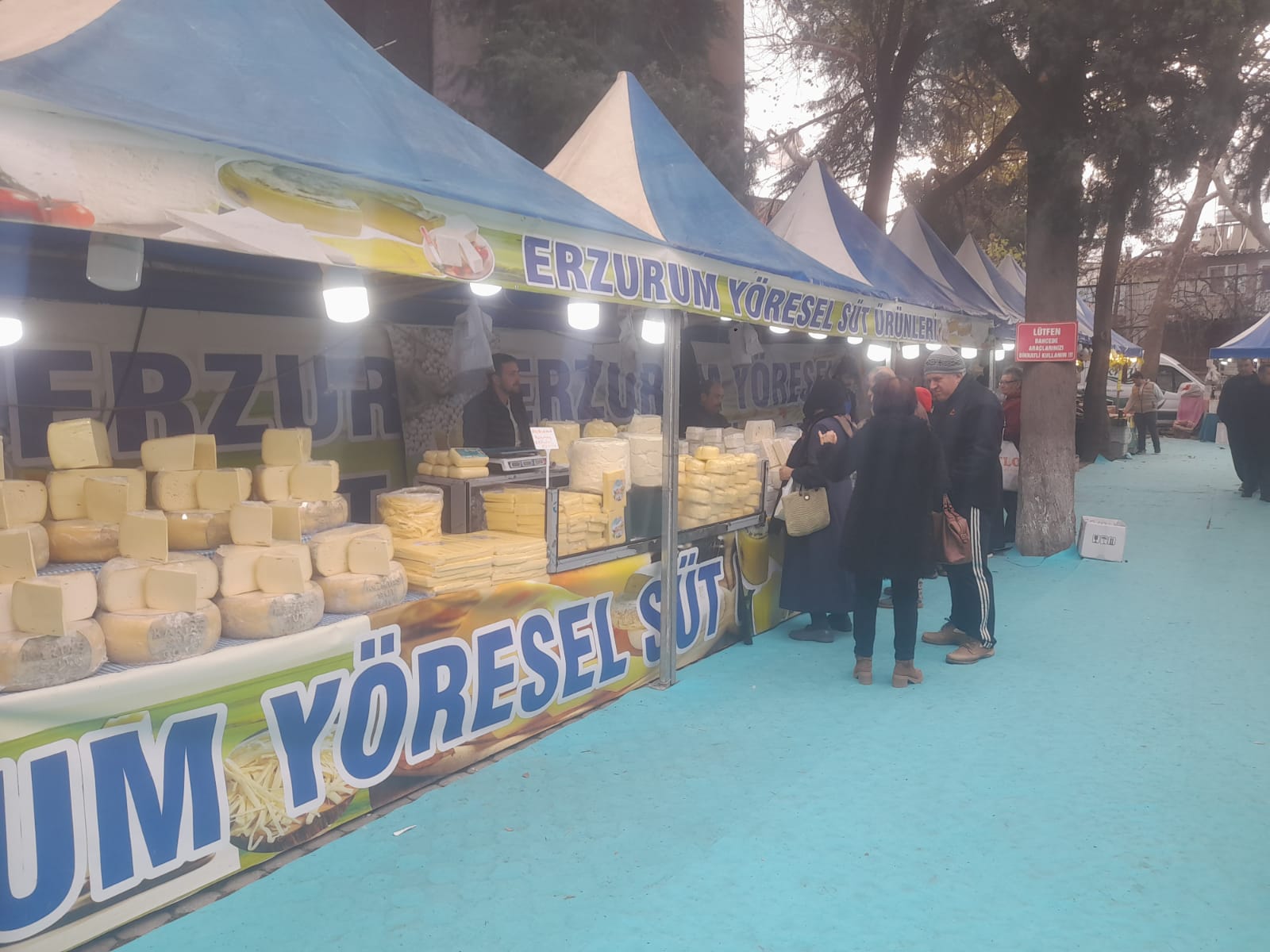 Ae601Fc8 85Bb 4C1E 8Eb0 50C5Ec45Cf8C