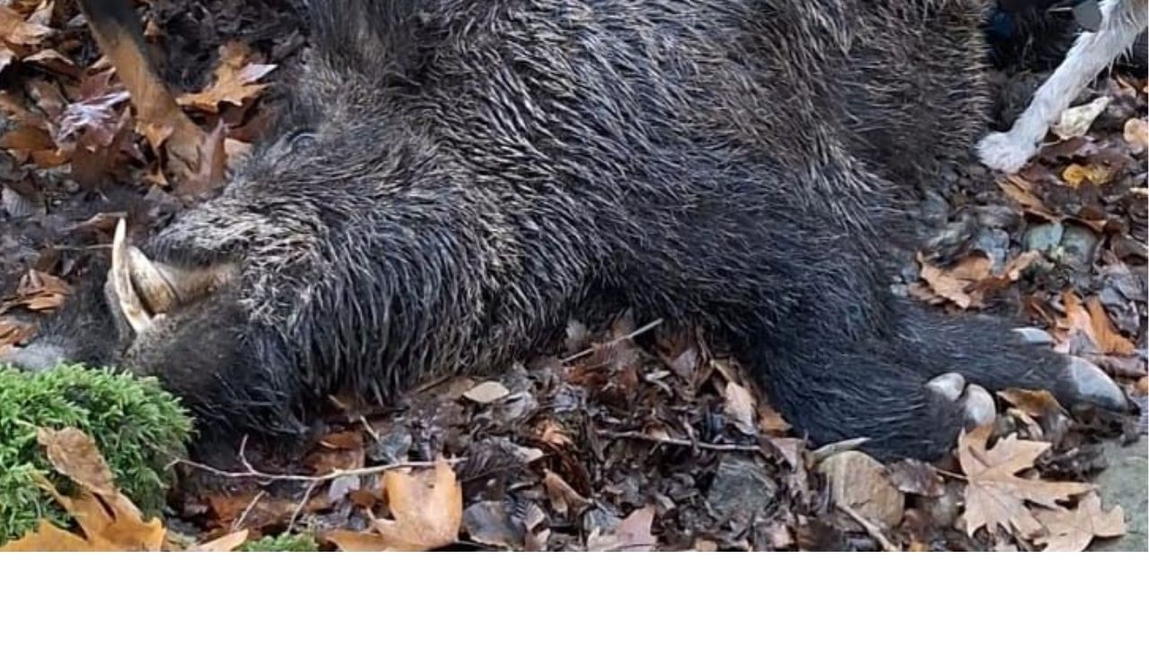 Bir Başlık Ekleyin (1)-508