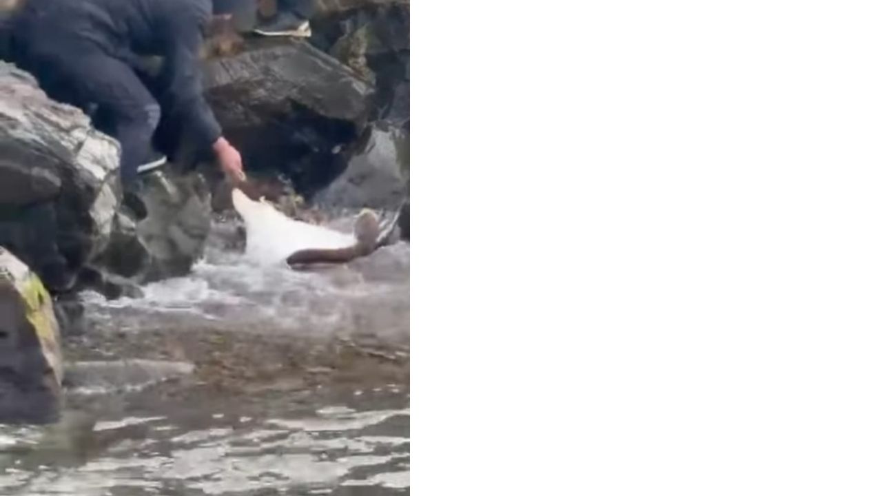 Bir Başlık Ekleyin (1)-523